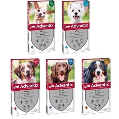 Advantix | Antiparassitario per Cani